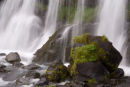 MERKIFOSS