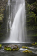 MERKIFOSS