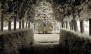 HAM HOUSE 4