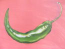 Green Chilli