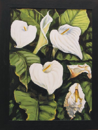 Lilly 3