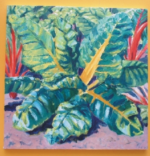 Chard