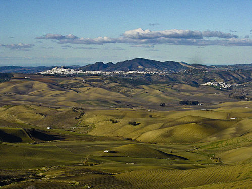 GOLD Merit Award Winner - Landscape