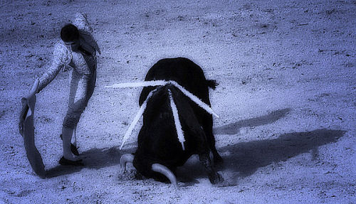 The Bullfight 2