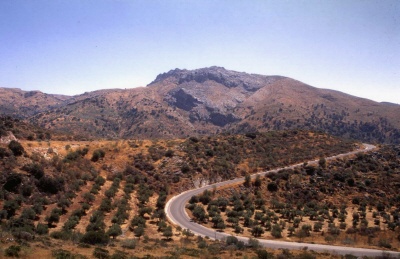 Mountain Road near Montehaque