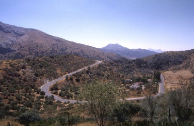 Mountain road near Montehaque