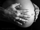 Gravid