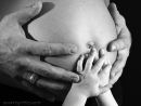 Gravid