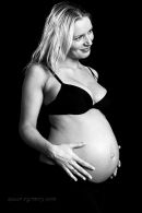 Gravid