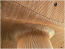 "Ceiling Detail - Welsh Assembly"