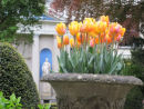 Dutch Formal Garden
