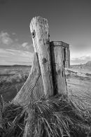 High & dry