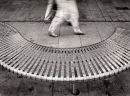 "Walking in the Wet"