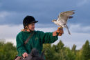 Falconry on horseback