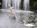 Swan and statues