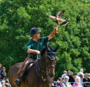 Falconry display on horseback