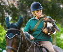 Falconry display on horseback