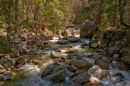 Tenaya Creek