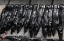 Black Scabbard Fish