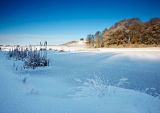 Winter Blues 