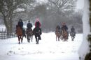 Ian Williams' racehorse string at exercise in the snow.