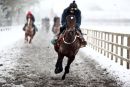 Ian Williams' racehorse string at exercise in the snow.