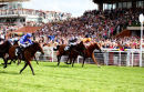 Borderlescott wins the sprint @ Glorious Goodwood.