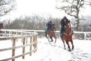 Ian Williams' racehorse string at exercise in the snow.