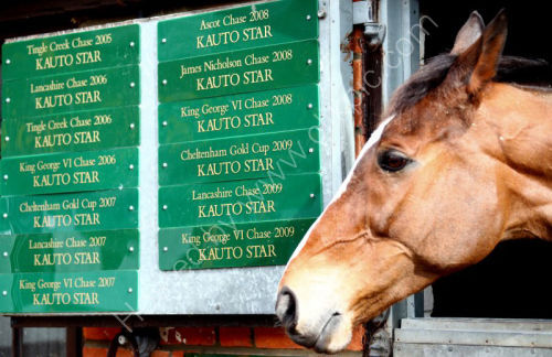Kauto Star favourite for the Cheltenham gold cup @ Cheltenham.