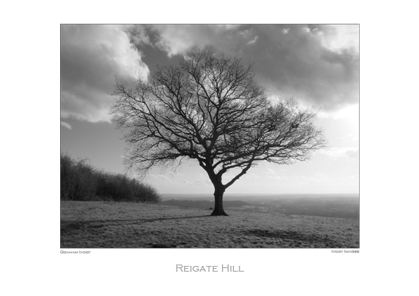 Reigate Hill
