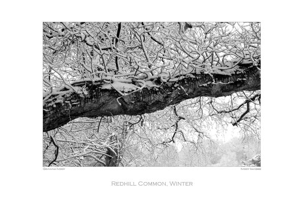 Redhill Common, Winter