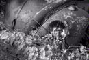 Beetle 102