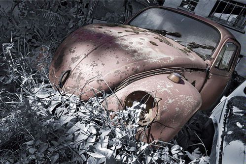 Beetle 106