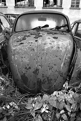 Beetle 108