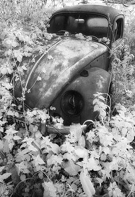 Beetle Wreck Talybont
