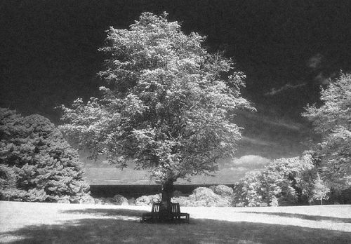 Clyne Park View