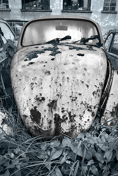 Beetle 108 toned