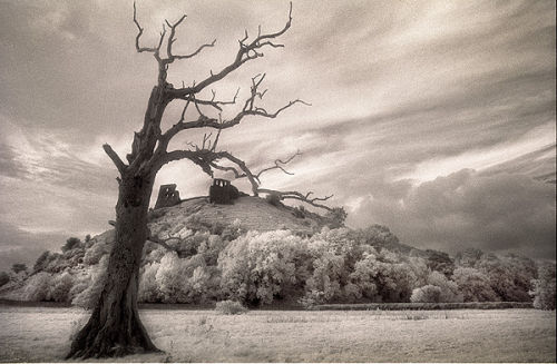 Dryslwyn Castle