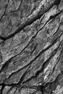Gower Limestone 3