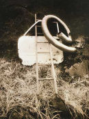 Human Remains 3