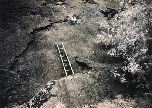 Human Remains 4