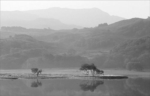 Llyn Dinas towards Cnicht