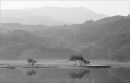 Llyn Dinas towards Cnicht