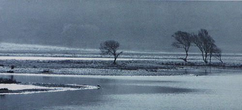 Morning Scene Nantgwynant