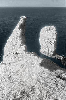 Near Elegug Stacks, Pembrokeshire