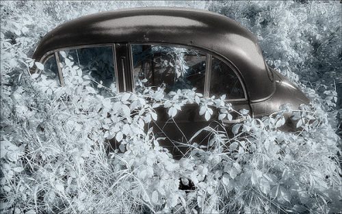Talybont Morris Minor toned