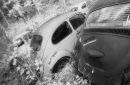 Talybont Wrecks