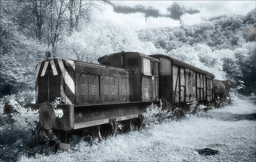 Train at Cynnwyl Elfed