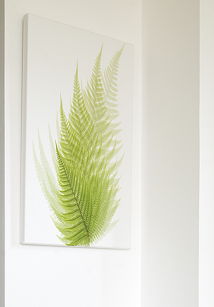 Canvas print