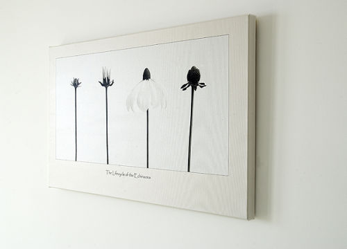 Canvas print